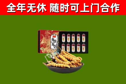 秦淮烟酒回收冬虫夏草礼盒.jpg